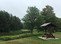 Picnics at Stewiacke River Park